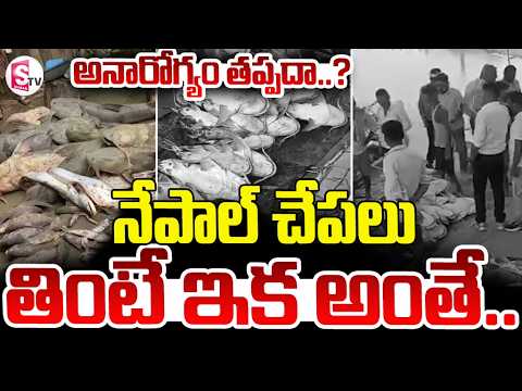 చేపలు తినే ముందు జాగ్రత్త ..| Nepal Floods Latest News | SumanTV Deepika