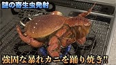 韓国 ヌタウナギの踊り焼き Youtube 韓国 ヌタウナギの踊り焼き Youtube