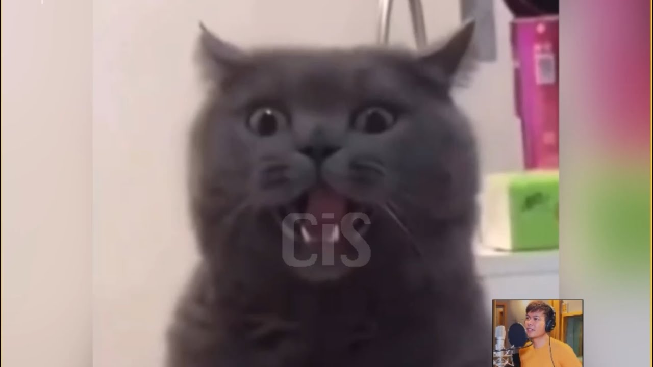 သူဌေးစာ