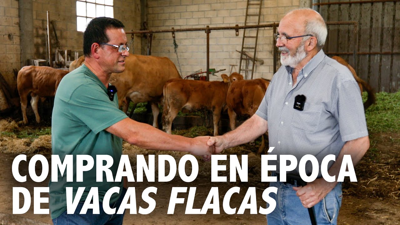 🔥COMPRO TRES VACAS COMO ANTES en medio del MONTE | Tradiciones PERDIDAS | Etxezarreta