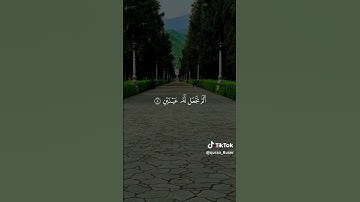 سورة البلد بصوت احمد العجمي 🩵🥹#قرآن#راحة_نفسية.#قرآن #احمد_العجمي quran#