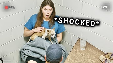 Psychopath Killer Gets a Huge Reality Check | Criminal Psychology Interrogation