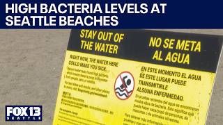 Seattle area beaches closed due to high bacteria