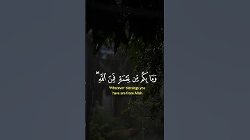 قران كريم ،صوت جميل ،قرآن ، يريح الأنفس ،تلاوة عطرة ، تلاوة بصوت خالد الجليل ، كلام من ذهب ، الجزائر