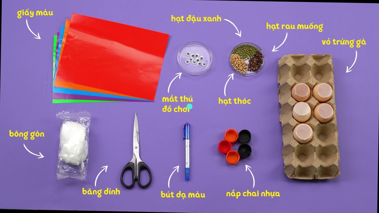 Trồng cây trong vỏ trứng
