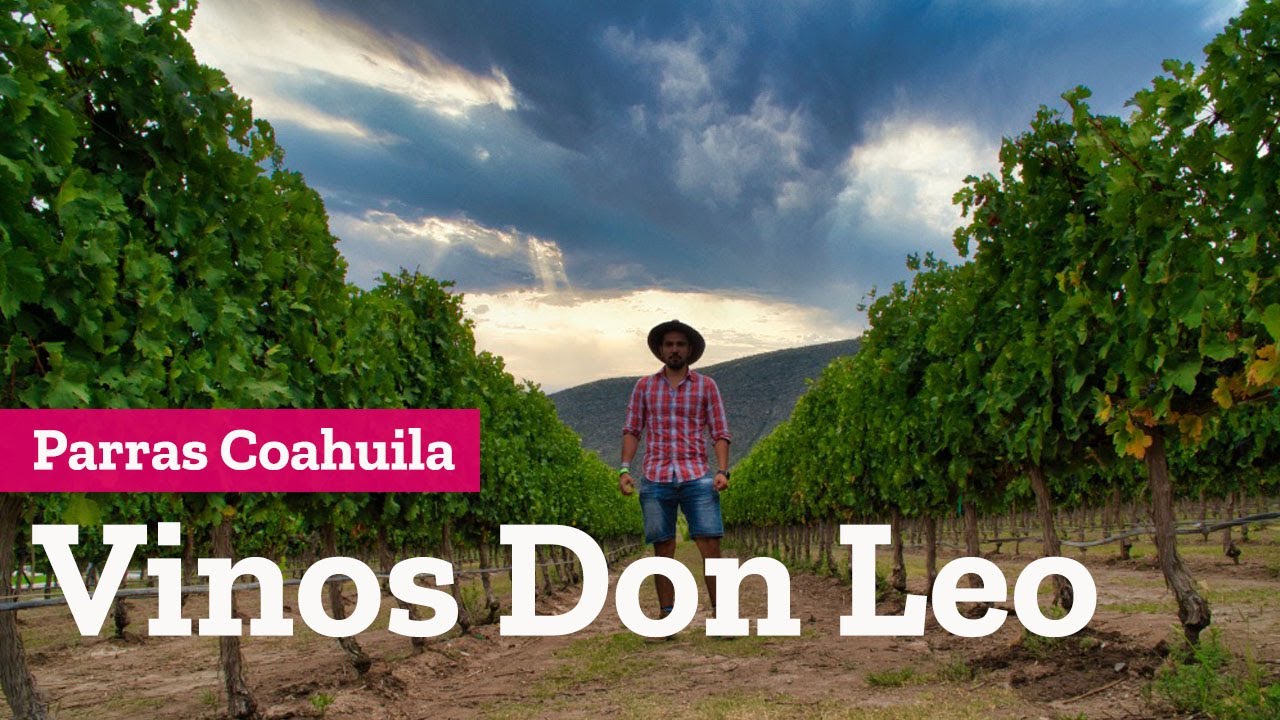 Vinos Don Leo, el mejor vino Cabernet Sauvignon del mundo, Parras Coahuila