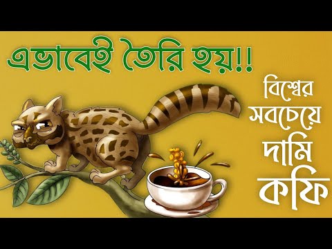 ভিডিও: কেন কফি বিশ্বের সবচেয়ে জনপ্রিয় পানীয়