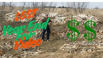 The Lost Year End  Fur Video#trapping #coyote