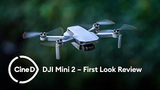 DJI Mini 2レビュー