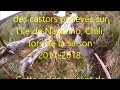 Teaser el shov feral castors de navarino saison 20172018