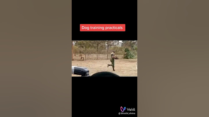 Mbwa wa kijeshi kwenye mafunzo