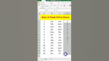 How to use Auto and flash fill in excel