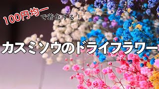 100円均一で着色するドライフラワー【カスミソウ】Making dried flowers (coloring)