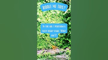 🧠 Crack the Code: Unleash Your Genius with This Mind-Blowing Riddle! 🕵️‍♂️ #brainteaser #challenge