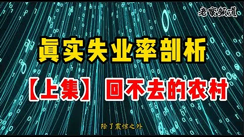 真實失業率剖析【上集】回不去的農村 - 天天要聞