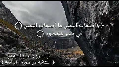 قراءة من سورة الواقعة من صلاة العشاء