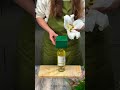 This Hack Will Make Your Flowers Last Longer 💐