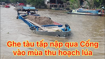 Ghe tàu tấp nập qua cống Cái Quanh khi đã bước vào mùa thu hoạch lúa vụ đông - xuân.