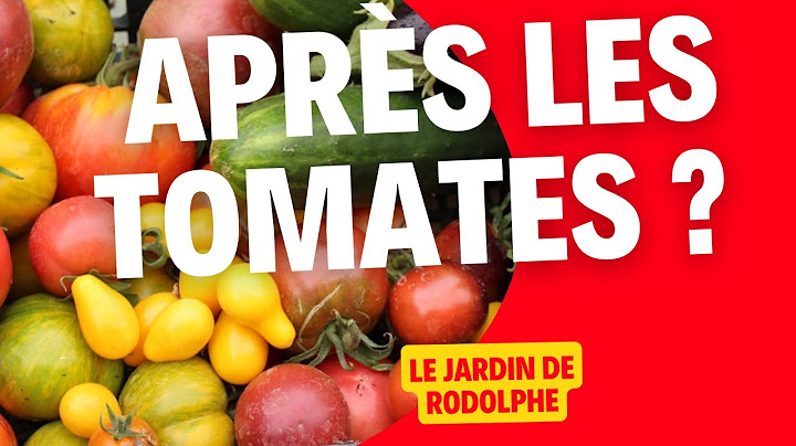 On plante quoi après les tomates en automne?