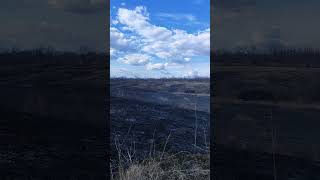 Is This Normal Procedure For Eod?