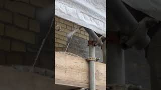 Transforming Dirty Bricks With Torbo German Technology In London By Sj Pointer