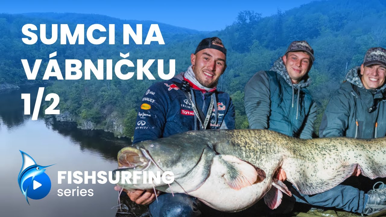 SUMCI NA VÁBNIČKU 1/2 | Vertikál | Holubec, Jegla, Pleva | sumcařina | Fishsurfing Series 17/2024