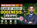 Bihar Board Class 12th Biology 2027 | Oogenesis (अंडजनन) Full Chapter in Easy Language 🔥