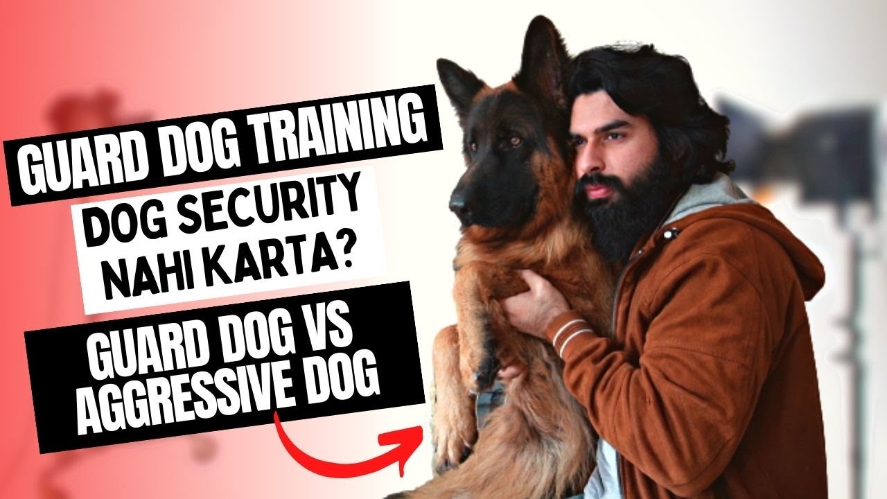 Guard Dog Training Dog Darta Hai? Dog Logo Ko Bark Nahi Karta? EASY