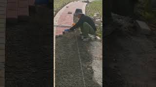 The process of installing bricks to build a path in the yard is carried out by skilled workers.