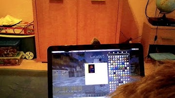 A bújócska mester mc :DXD 1rész