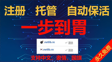 【第14期】3分钟注册一个永久免费带表情的二级域名，中文域名，国旗域名可选，从注册到托管，再到账号自动保活，一步到位