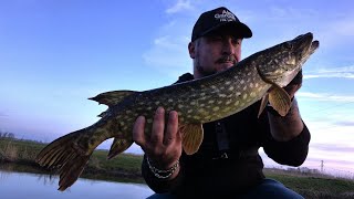 Catch a pike with me within 10 casts