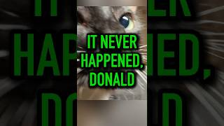 It Never Happened, Donald | Paula Poundstone #shorts