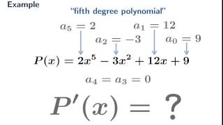 The derivative of a polynomial function