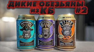 ДИКИЕ ОБЕЗЬЯНЫ из КБ ч.2 (HOP RIDER) | Немецкое пиво за 50 | BEER Channel