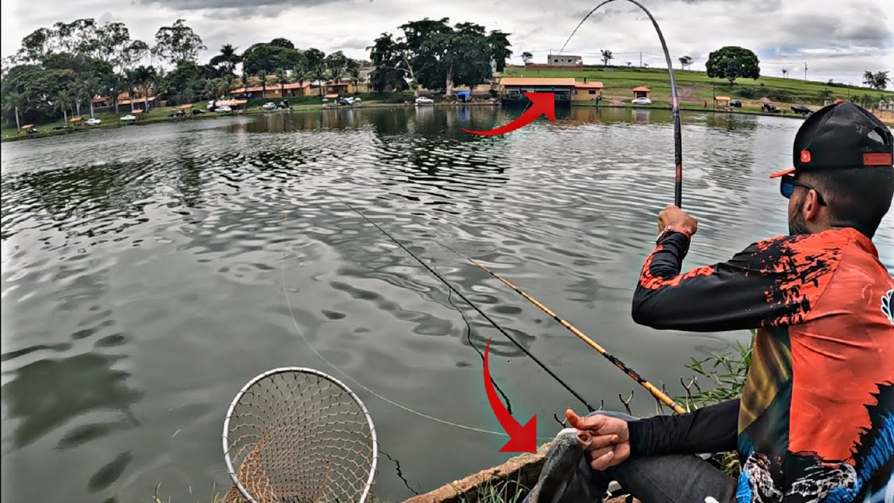 AS TILÁPIAS ESTAVAM LOUCAS ENGOLINDO TUDO, pescaria de tilápia na diária!!