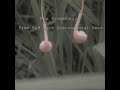 Pin Production Free R B Instrumental Beat Pin Production Free R B Instrumental Beat