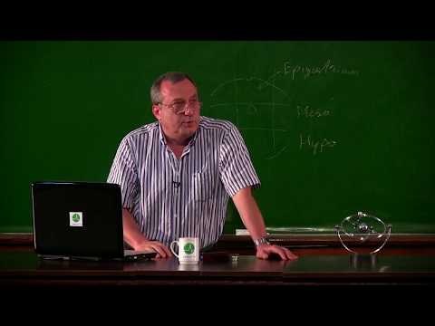 ლექტორიუმი - მერაბ კილაძე ნაწ. 1