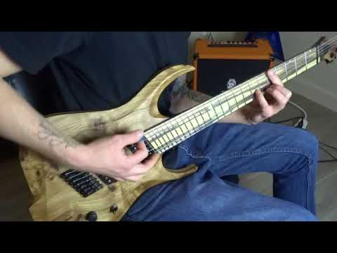 Vitalism - Yamí Obi Guitar Cover | Skervesen Chiroptera