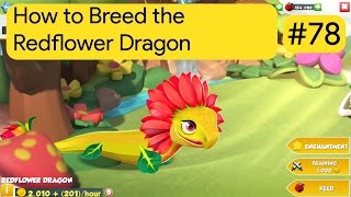 How to Breed the Redflower Dragon | DML Breeding Guide #78