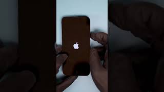 iPhone 11 Pro Max Display Replacement