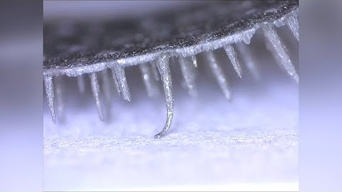 Micro-robot to deliver tablets directly into the stomach