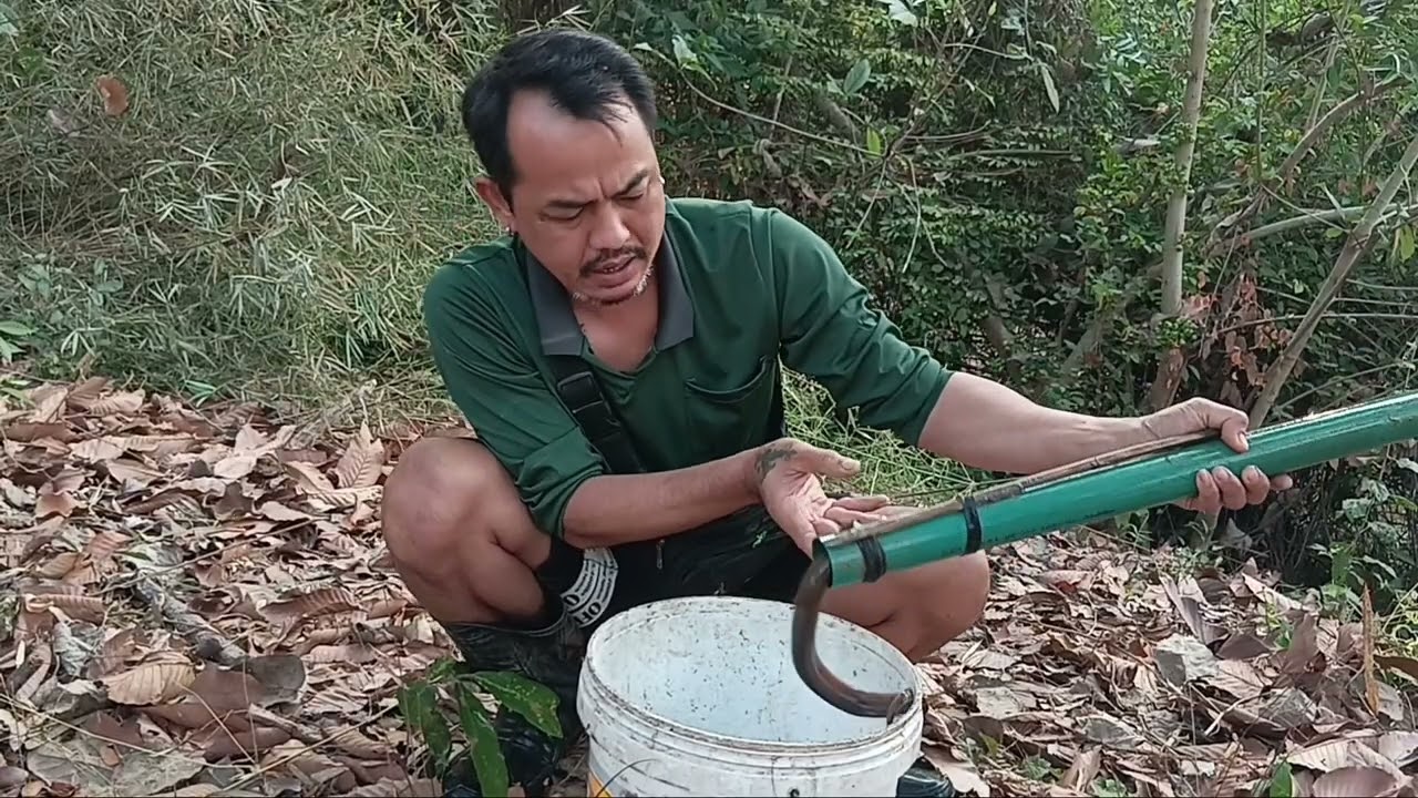 ดักปลาไหลเหยื่อหอยเซอรี่+กะปิ ไม่ทำให้ผิดหวัง