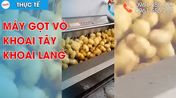 Máy Gọt Vỏ Khoai Tây, Khoai Lang (Sản Lượng 600 Kg/h) • Điện máy NEWSUN