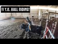 Auston Young | 11 year old | Bull Riding Practice Before Jr. World Finals!