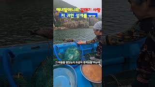 마음씨 착하신 해녀할머니! #백령도,#백령도해녀와사위, #갈매기