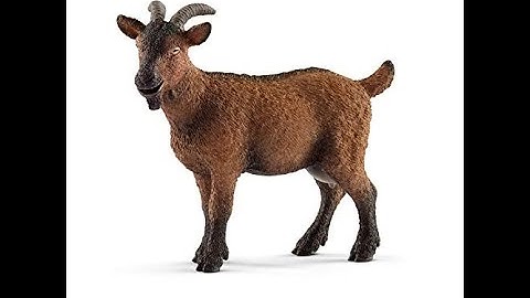 WebGoat help session