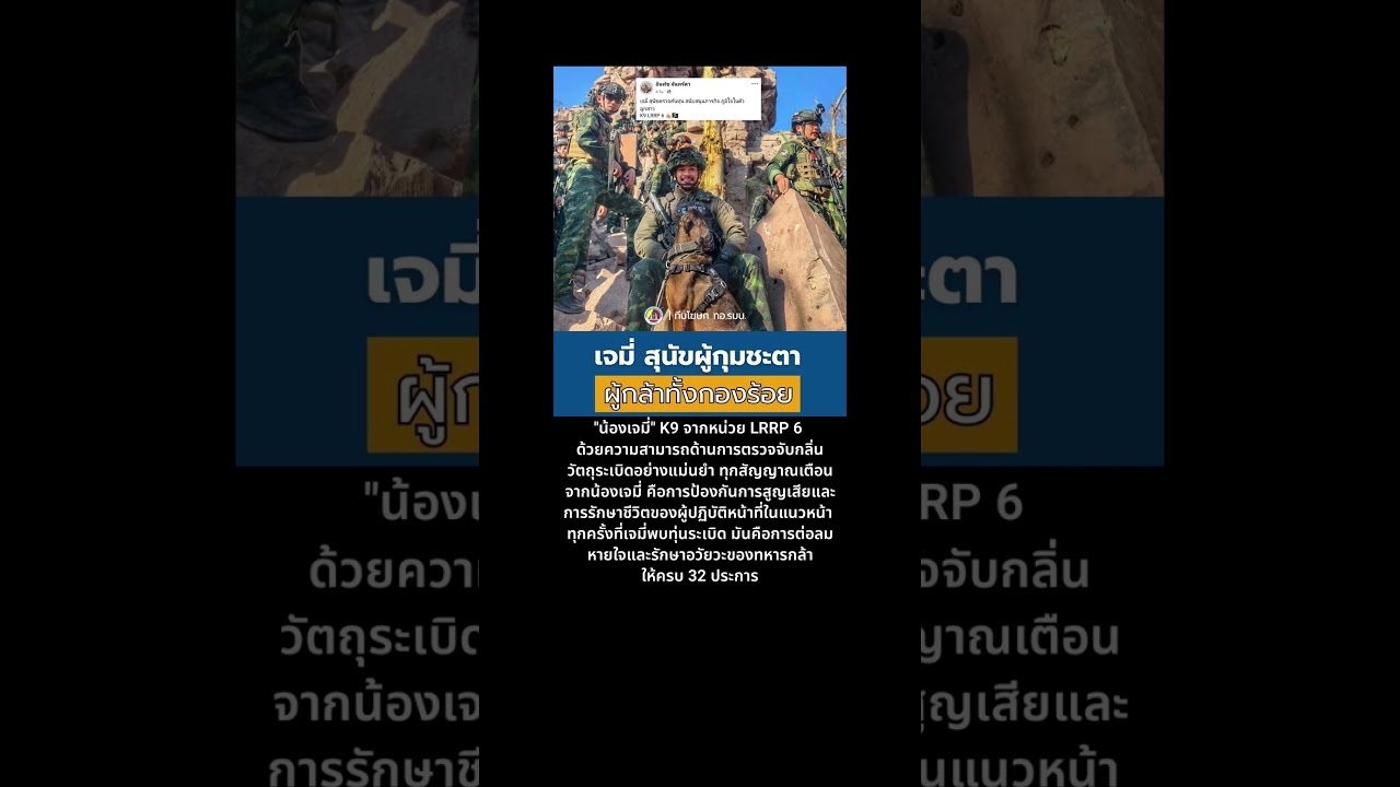 เจมี่ K9 ฮีโร่สี่ขา 