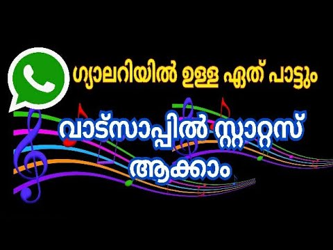 Any song can be made as status how to make whatsapp audio status
