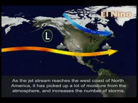 Видео: Разница между Ла Ниной и Эль Ниньо